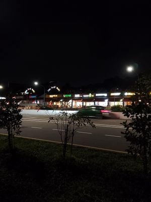  at Green on Earth 绿之天地 in West Singapore