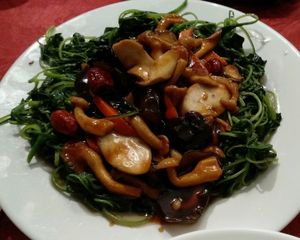 mushrooms and veg  at Green on Earth 绿之天地 in West Singapore
