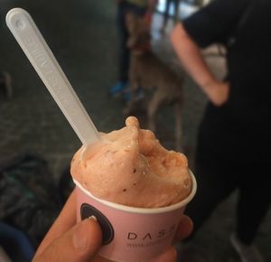 Gusto: macedonia at Stefano Dassie in Treviso