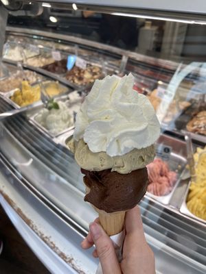 The best vegan Ice cream ever! 😆 at Stefano Dassie in Treviso