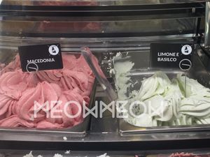 Dairy free symbol on all vegan gelati at Stefano Dassie in Treviso