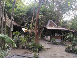  at Simple Plant  in Yogyakarta