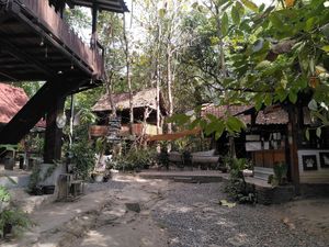  at Simple Plant  in Yogyakarta