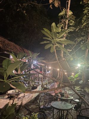 Magic garden  at Simple Plant  in Yogyakarta