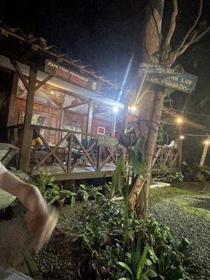 Magic garden  at Simple Plant  in Yogyakarta