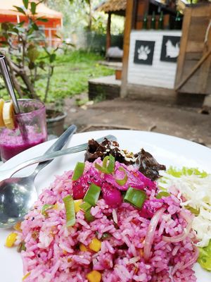 Dragon Fruit Fried Rice at Simple Plant  in Yogyakarta