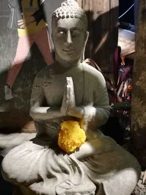 decoration at Simple Plant  in Yogyakarta