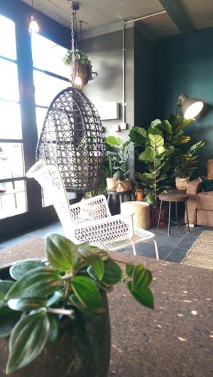 interior at MOTHER - Juice Works in East London