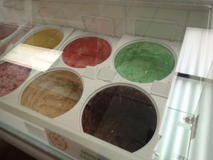 Vegan ice cream selection. at Krazzy Kow in High Springs