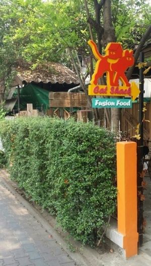 street front at Cat House Chiang Mai - Cat Shack in Chiang Mai