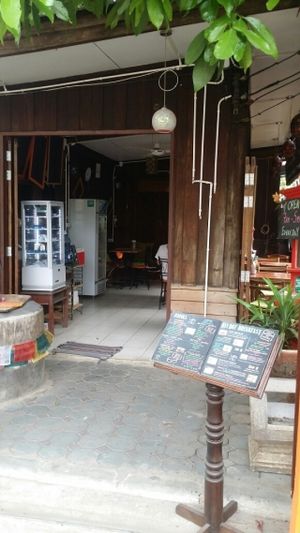 entrance at Cat House Chiang Mai - Cat Shack in Chiang Mai