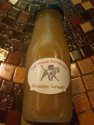 Homemade kombucha at Cat House Chiang Mai - Cat Shack in Chiang Mai