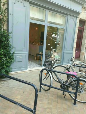 store front at Cactus General Store in Bordeaux