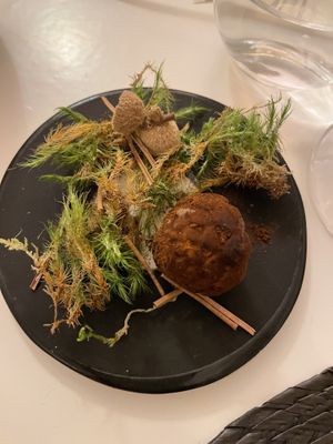 Tonka, Chaga, Thuya at ONA in Ares