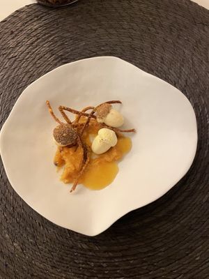 Lichen, Kaki, Sarrasin  at ONA in Ares