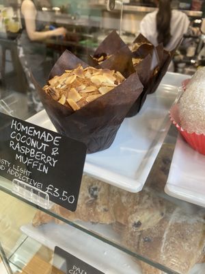 Muffin   at Picnic in Glasgow