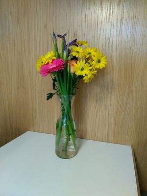 fresh at Picnic in Glasgow