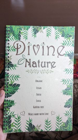  at Divine Nature in Dharamkot