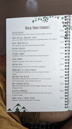  at Divine Nature in Dharamkot