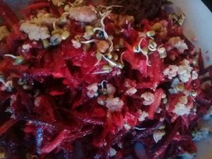 Purpule Twister at Divine Nature in Dharamkot