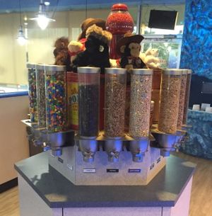 Dry toppings. at Arctic Ape in San Antonio