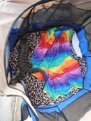  at Arctic Ape in San Antonio