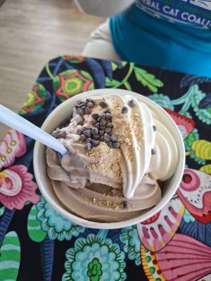  at Arctic Ape in San Antonio