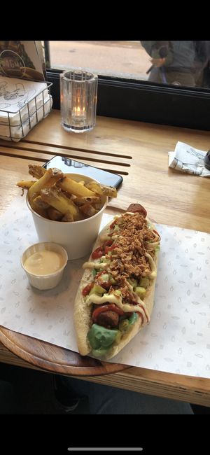 Fries and mayo were nice, liked the hotdog too at Dogma in Utrecht