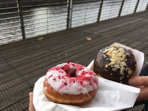 Vegan raspberry doughnut and vegetarian chocolate doughnut at The Rolling Donut - Bachelors Walk in Dublin