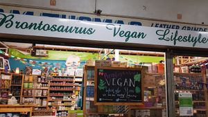 Outside at Brontosaurus Vegan Lifestyle Store in Swansea