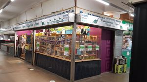 Outside at Brontosaurus Vegan Lifestyle Store in Swansea