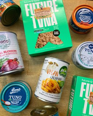   at Brontosaurus Vegan Lifestyle Store in Swansea