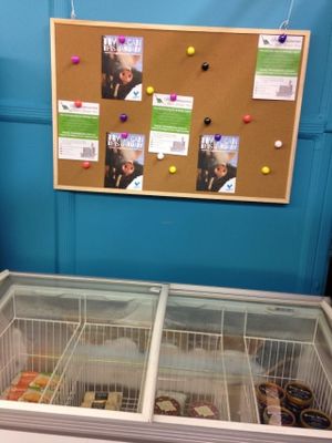 small frozen section at Brontosaurus Vegan Lifestyle Store in Swansea