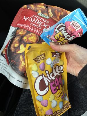 February 2025  at Brontosaurus Vegan Lifestyle Store in Swansea