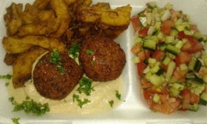 Vegan Style Shwarma with Hummus and Falafel - Served with Pita Bread and a Salsa Salad at Vegan To Order in Windhoek