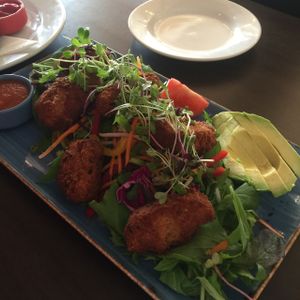 falafel salad at Abracadabra Cafe & Bar in Rotorua