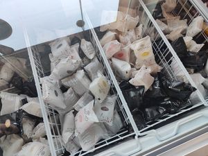 Vegan mochi ice creams at Veganio in Prague