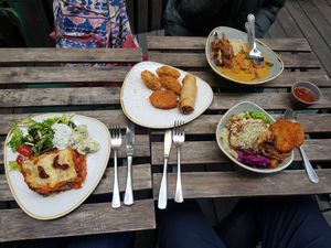 Lasagne meal deal, fried dumplings + spring roll, curry, buddha bowl at Nordvegan in Oslo
