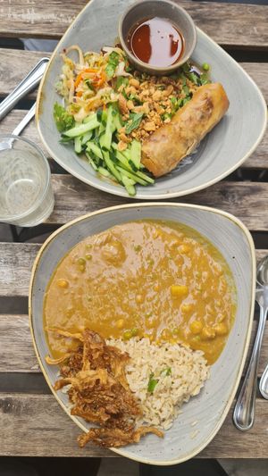 Noodles and Japanese curry at Nordvegan in Oslo