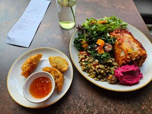 Fried dumpling starter, enchilada with salad and hummus main. at Nordvegan in Oslo