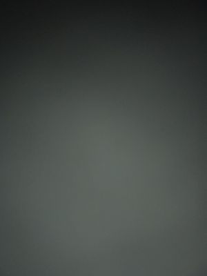   at Nordvegan in Oslo