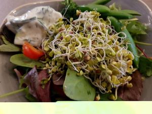 19.12.2017 at Nordvegan in Oslo