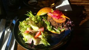 Best vegan lasagna ever! at Nordvegan in Oslo