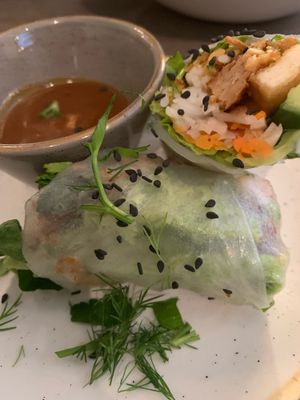 Spring Rolls at Nordvegan in Oslo