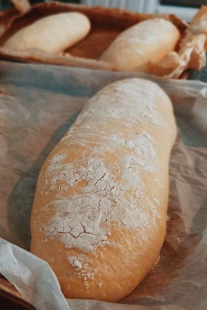 Organic family-sized Soft Sourdough Loaf at Lokal Bread in Williamsburg