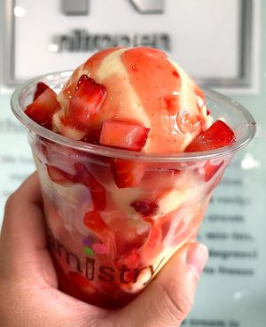 vegan Tropical Paradise at Creamistry in Scottsdale