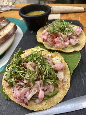 Tostadas Aguamarina at Aura Vegana in Mexico City