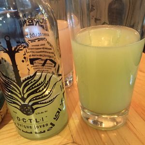 pulque  at Aura Vegana in Mexico City