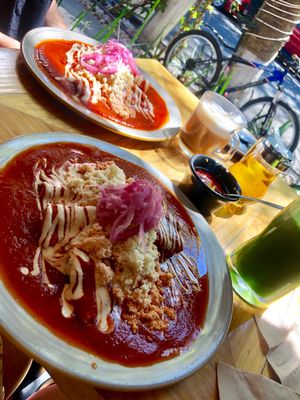Enchiladas veganas y deliciosas at Aura Vegana in Mexico City