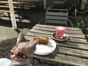   at Full Circle - Zuid in Ghent